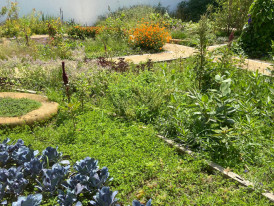 Vista do Jardim dos Pintores