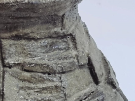 amplitude2025_premio