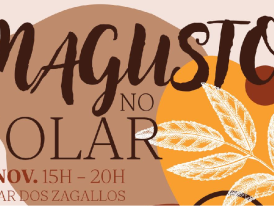 magusto no solar2