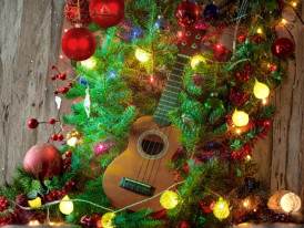 Formação de Guitarra e Ukulele 