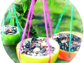 comedouros para aves