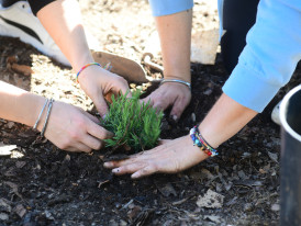 Agroparque das Terras da Costa e do Mar