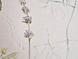 Desenho táctil de plantas do jardim
