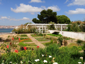 Jardim Botânico - Chão das Artes