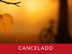 arvore sabia evento cancelado