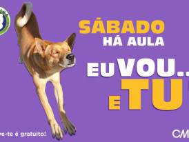 escolinha canina março 2026