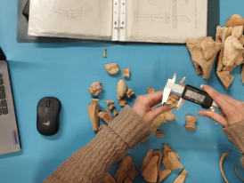 OFICINA_ARQUEOZOOLOGIA_DIMS_ABRIL_2026