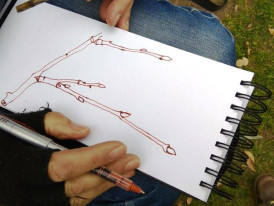 Desenho de ramos com rebentos