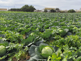 Agroparque das Terras da Costa e do Mar