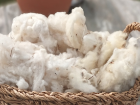 OFICINA_FELTRAGEM_ABRIL_2026