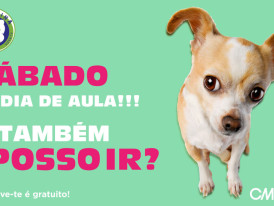 escolinha canina abril