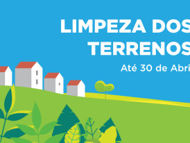 Limpeza de Terrenos