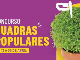 Concursos Quadras 2026