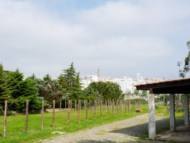 Viveiro do Parque da Paz