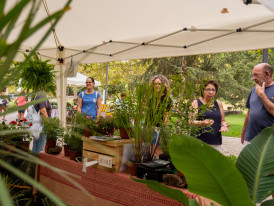 Eco-mercado no Parque da Paz