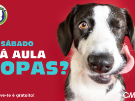 Escolinha Canina Maio