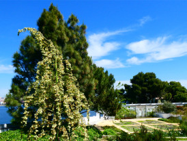 Visita a'O Chão das Artes - Jardim Botânico