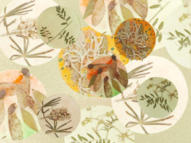 31.ª Edição SEMENTES - Memórias magnéticas