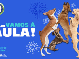 escolinha canina