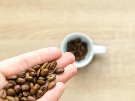Entre grãos e aromas: ciência numa chávena de café