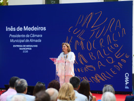 ines de medeiros medalhas da cidade