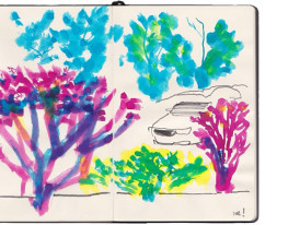 Desenho colorido de árvores
