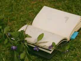 EXPLORAR POESIA AR LIVRE.jpg