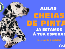 Escola Canina julho 2026