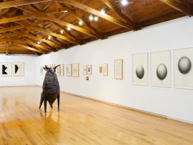 Visita orientada às exposições (fotografia de António Jorge Silva)