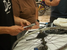 cicloficina