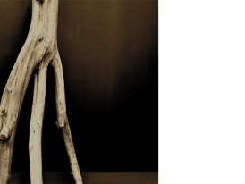 Edgar Massul, imagem de processo. Imagem: cortesia do artista
