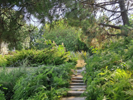 Visita a'O Chão das Artes - Jardim Botânico