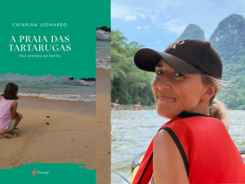 a praia das tartarugas