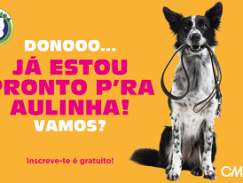 escolinha canina setembro 2026