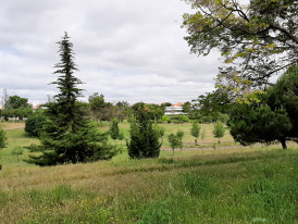 Imagem representativa de Parque Urbano das Quintinhas