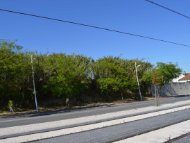 Imagem representativa de ARQ0081