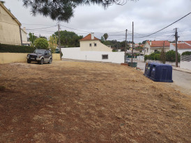Imagem representativa de ARQ0136