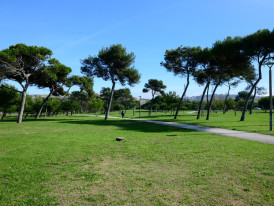 Imagem representativa de Parque Urbano Costa de Caparica