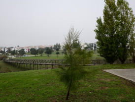 Imagem representativa de Parque Multiusos da Sobreda