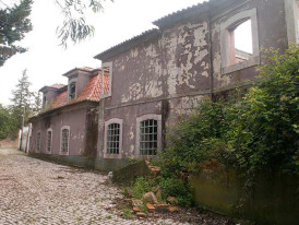 Imagem representativa de Ficha_Carta_Patrimonio_REVISTAS-185