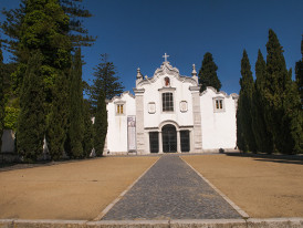 Imagem representativa de IVP001