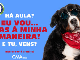 escolinha canina outubro