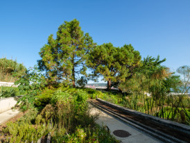 Pinheiro das Canárias, Casa da Cerca - Almada