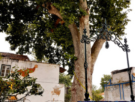 Imagem representativa de Jardim do Solar dos Zagallos