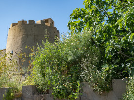 Imagem representativa de Castelo%20de%20Almada%20-%20Torre