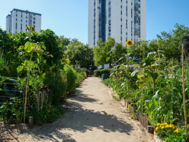 Parques Hortícolas Municipal do Laranjeiro 