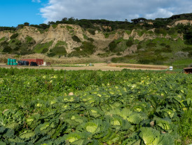 Agroparque das Terras da Costa e do Mar