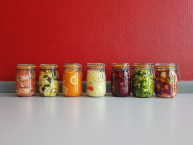 fermentados 