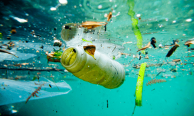 Por um oceano sem plástico