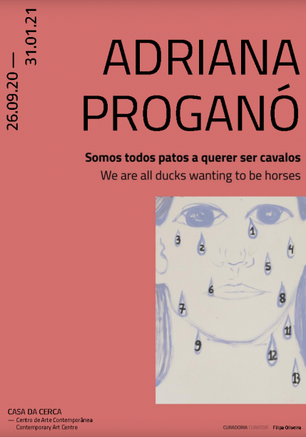 "Somos todos patos a querer ser cavalos" de Adriana Proganó  